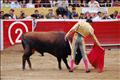 Jose Antonio Pinto (101)